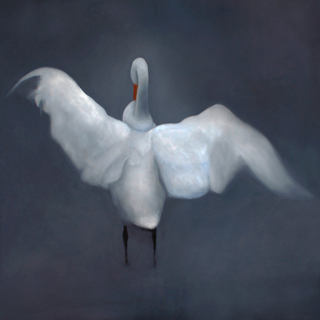 Swan (oil on canvas, 90cm x 90cm), private collection