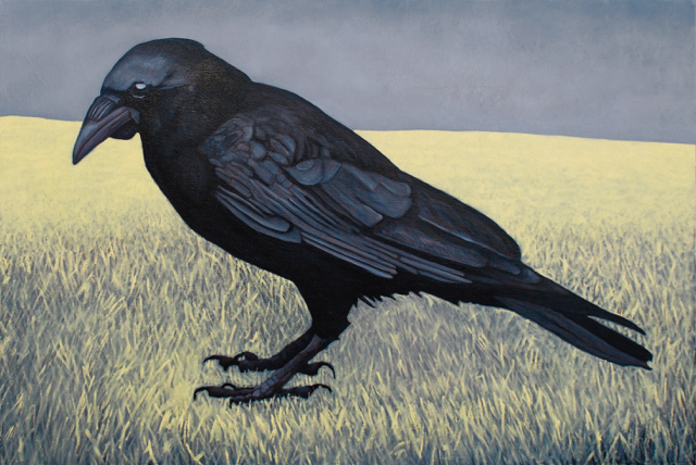 Raven (oil on canvas, 85cm x 100cm), SOLD